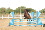 SBM_023884