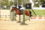J42 - Grand Tour Horse & Pony 1.00m Championship portfolio