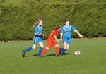 DSC01587