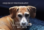 BPP_5673