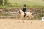 SBM_001469