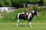 3E7A8661