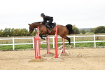 SBM_007681