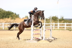 SBM_000934
