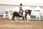 SBM_00536