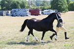 WJ6_4564