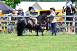 SBM_05868