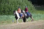 WJ7_3029