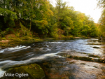 River North Esk at Grannochy, Autumn Colour 18