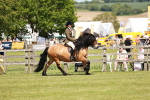 SBM_07108