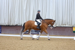 SBM_000121