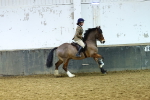 SBM_006719