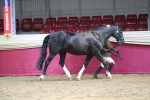 SBM_06549