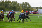 171026-Race 5-Brighton Boy-5962