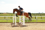 SBM_002401