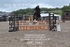 BPP_1645