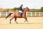 SBM_007018