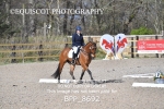 BPP_8692