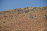 Elterwater-626