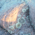 FRANKLIN ISLAND, NORTH -  GEORGIAN BAY portfolio