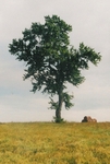 94