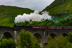 The Jacobite - DSC_8863