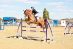 SBM_007544