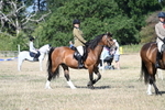 WJ7_3360