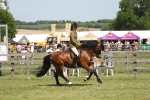 SBM_06923