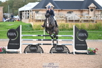 Cls 3 Snr Foxhunter portfolio