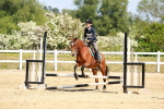 SBM_007779