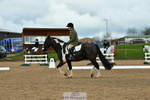 Arena A DR 11.00 to 12.00 portfolio