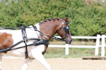 SBM_001023