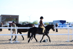 SBM_07792