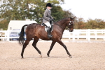 SBM_14459