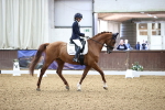 SBM_008135