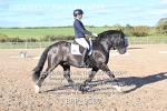 BPP_9507
