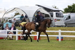 Open Ridden Championship portfolio