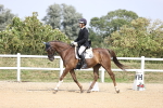 SBM_017369