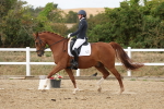 SBM_011997