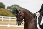SBM_003606