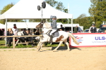 SBM_14958