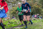 Dovedale Dash-1700