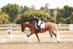 SBM_016871