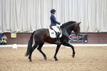 SBM_006558