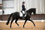 Class 5 - Novice FSM portfolio