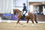 SBM_006086