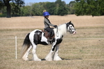 WJ6_9137