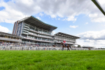 230824-Race 4-Bradsell-4323