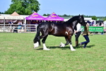 SBM_10021